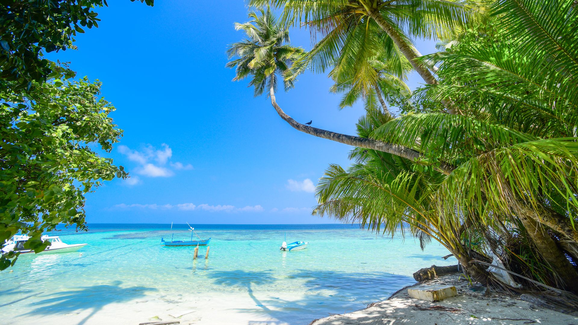 Maldives Practical Guide: Official Websites, Booking Platforms, Transport, SIM, Money, Emergency Numbers