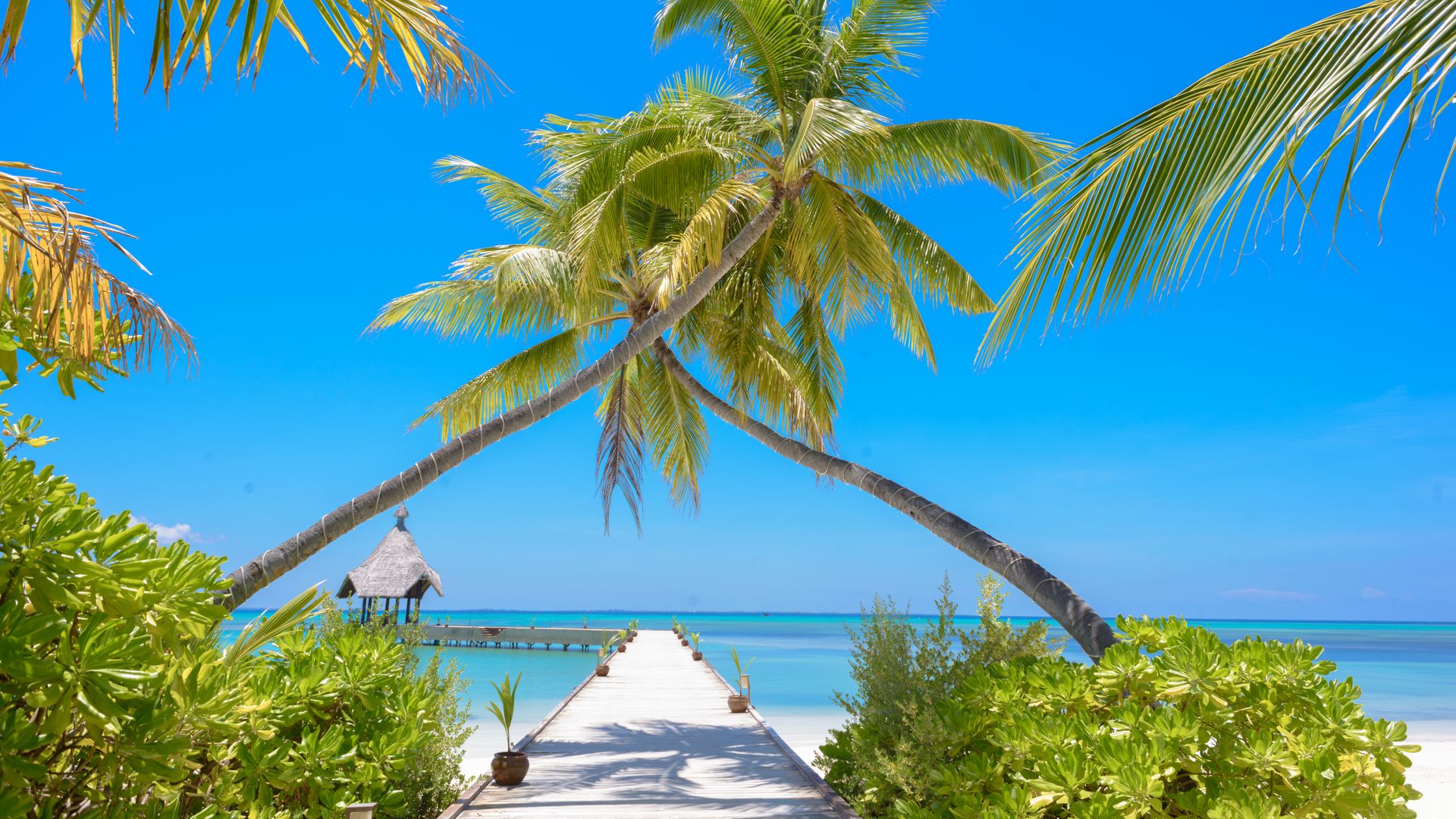 Fiji Visa for Indians 2026: Free Fee, On arrival Processing Complete Step-by-Step Guide
