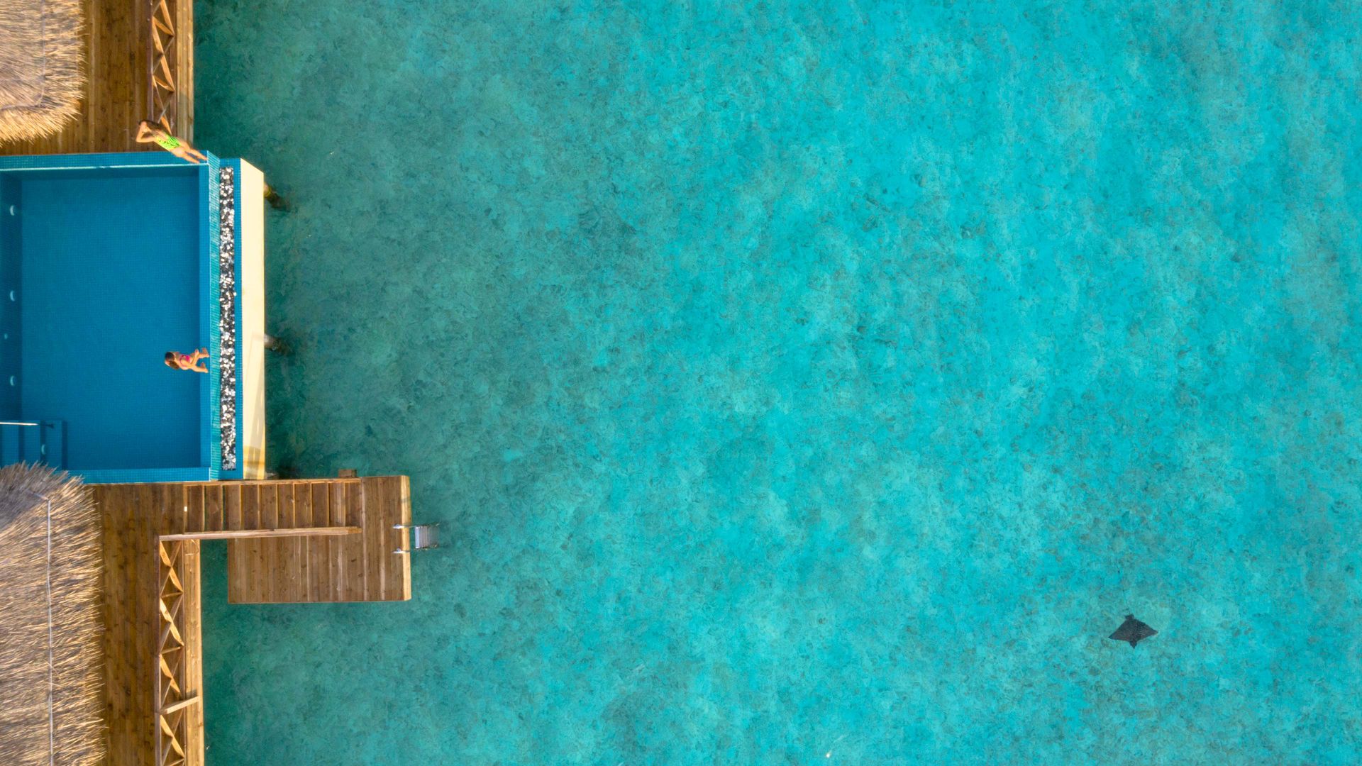 Maldives for Indians: Interesting Facts, Cultural Tips, Food Guide, Scam Warnings, Emergency Contacts