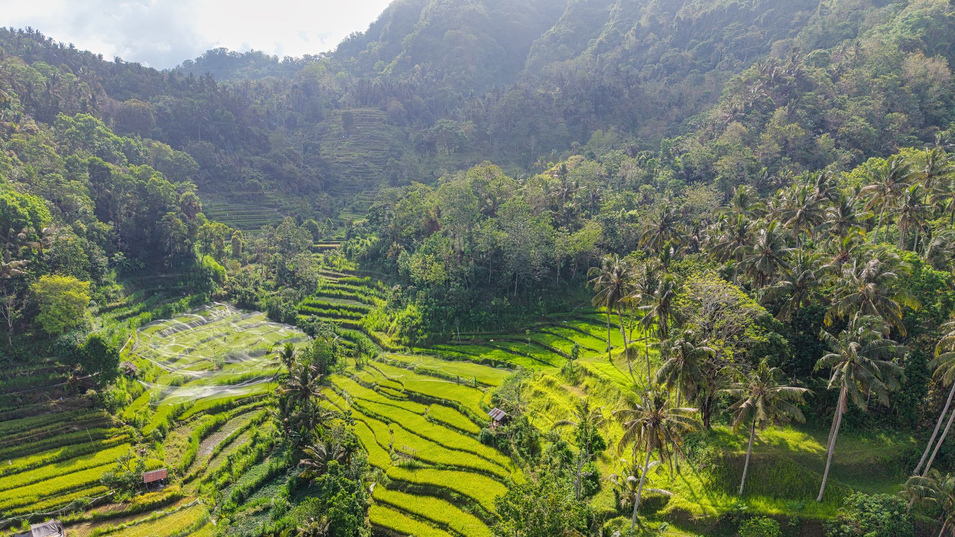 Indonesia (Bali) for Indians: Interesting Facts, Cultural Tips, Food Guide, Scam Warnings, Emergency Contacts