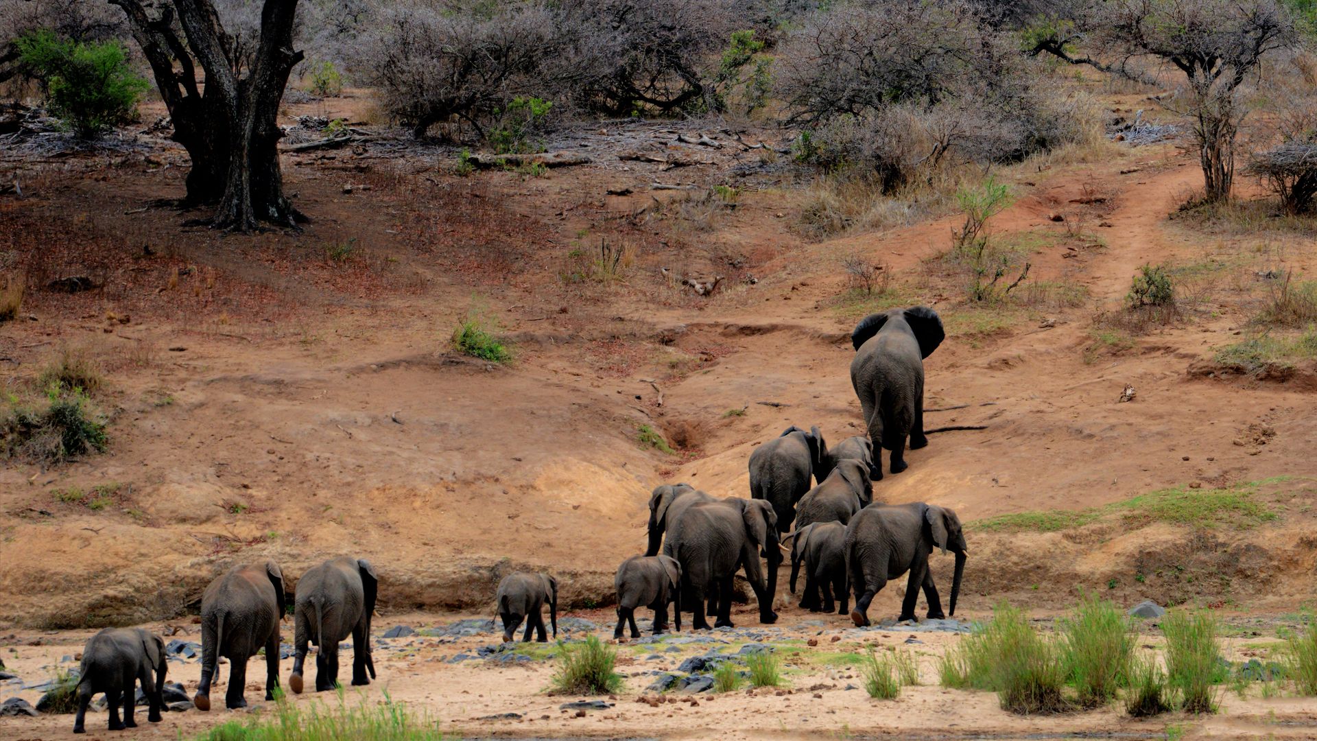 Botswana for Indians: Interesting Facts, Cultural Tips, Food Guide, Scam Warnings, Emergency Contacts